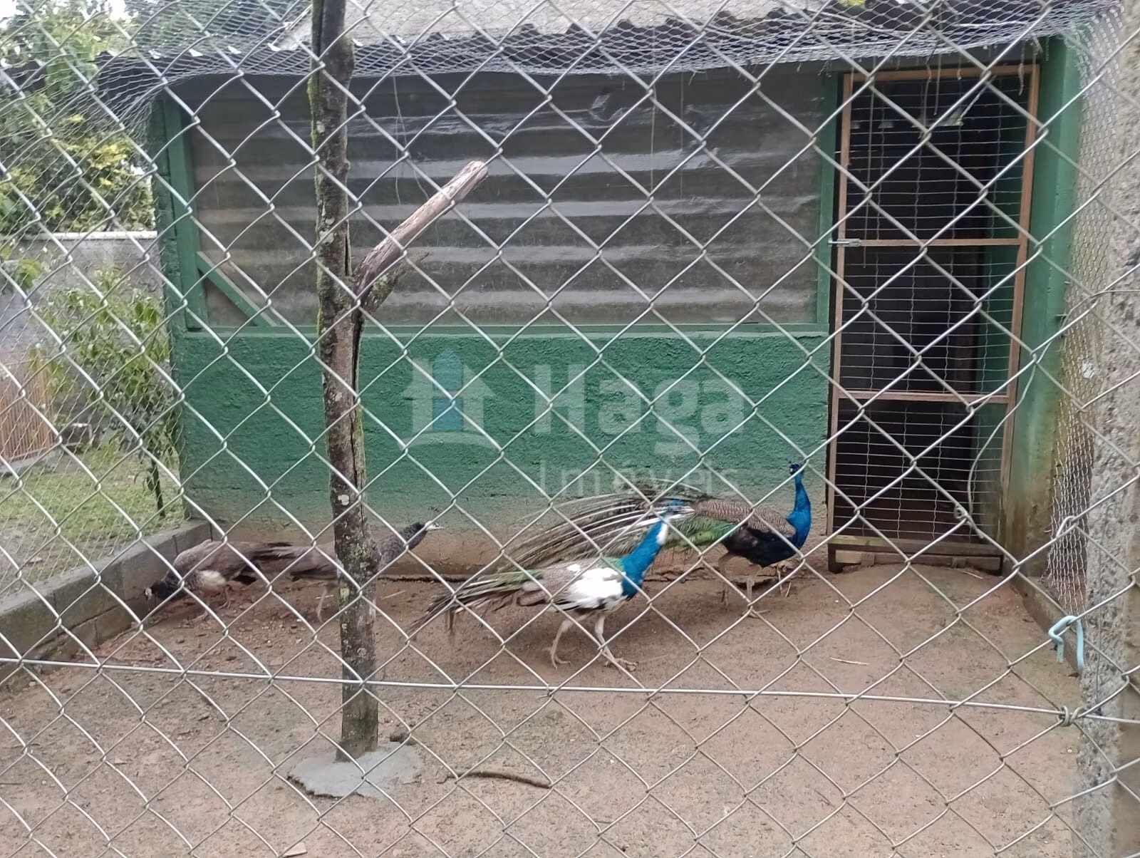 Farm of 1 acres in Blumenau, SC, Brazil
