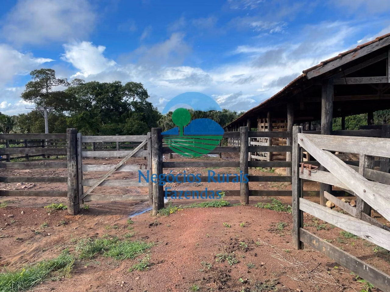 Fazenda de 1.064 ha em Porangatu, GO