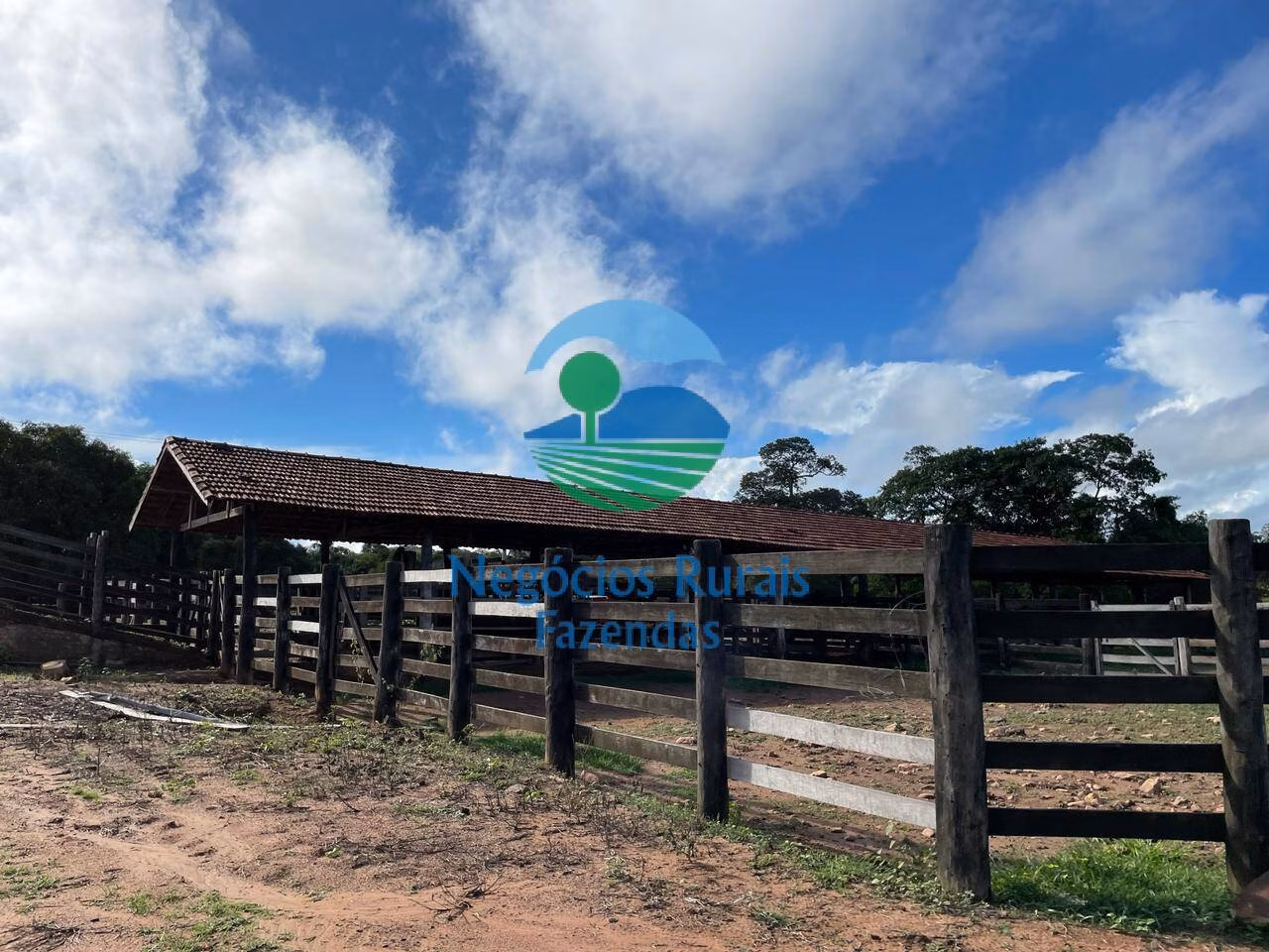 Fazenda de 1.064 ha em Porangatu, GO