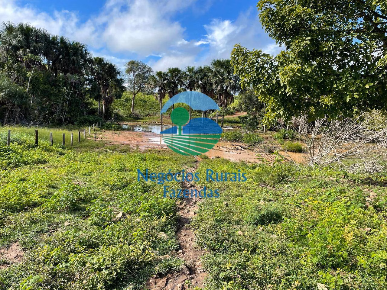 Fazenda de 1.064 ha em Porangatu, GO