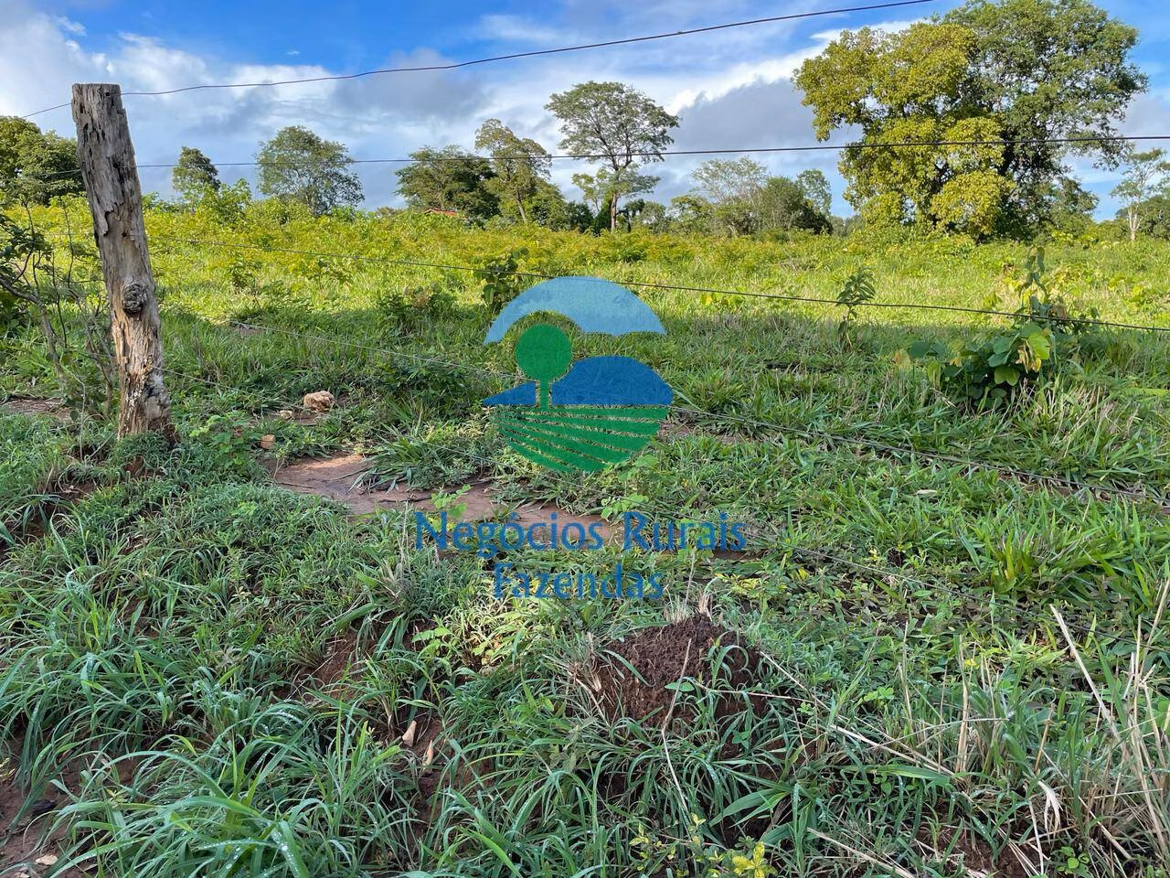 Fazenda de 1.064 ha em Porangatu, GO
