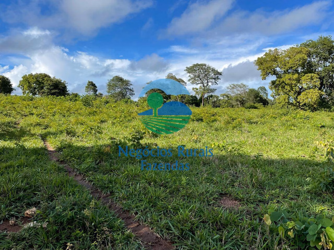 Fazenda de 1.064 ha em Porangatu, GO