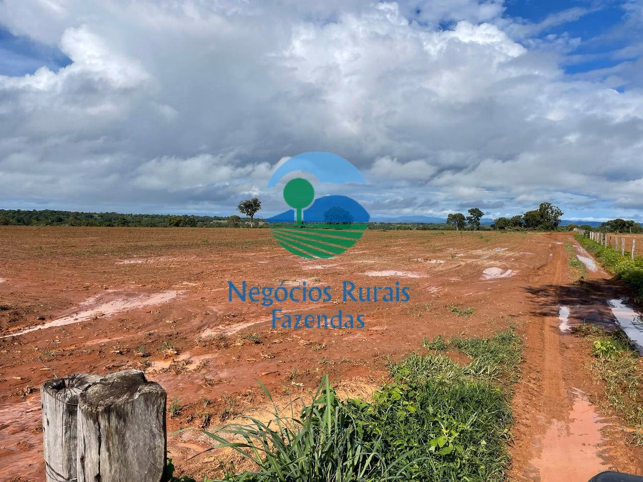 Fazenda de 1.064 ha em Porangatu, GO