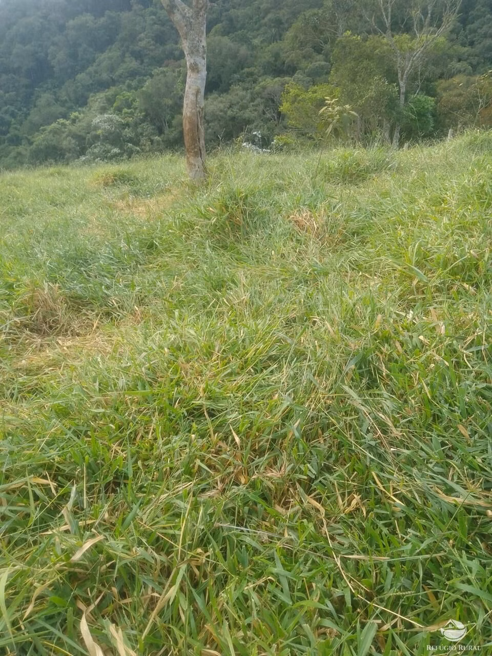 Terreno de 2 ha em São José dos Campos, SP