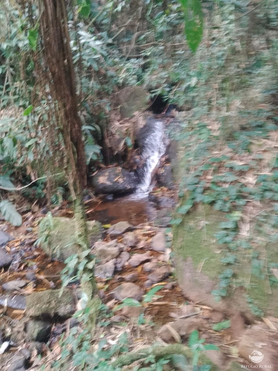 Terreno de 2 ha em São José dos Campos, SP