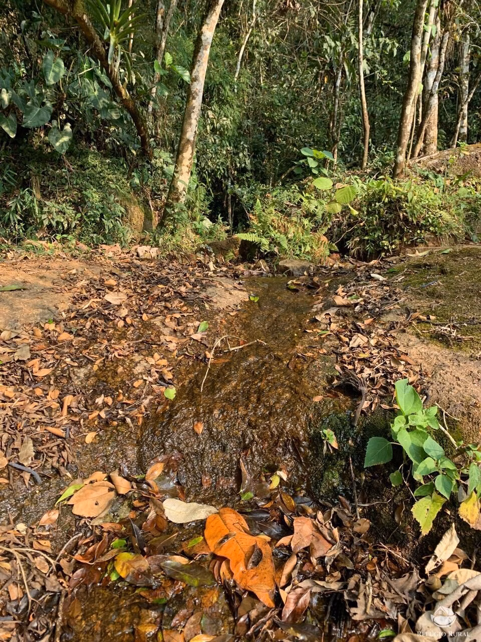 Terreno de 2 ha em São José dos Campos, SP