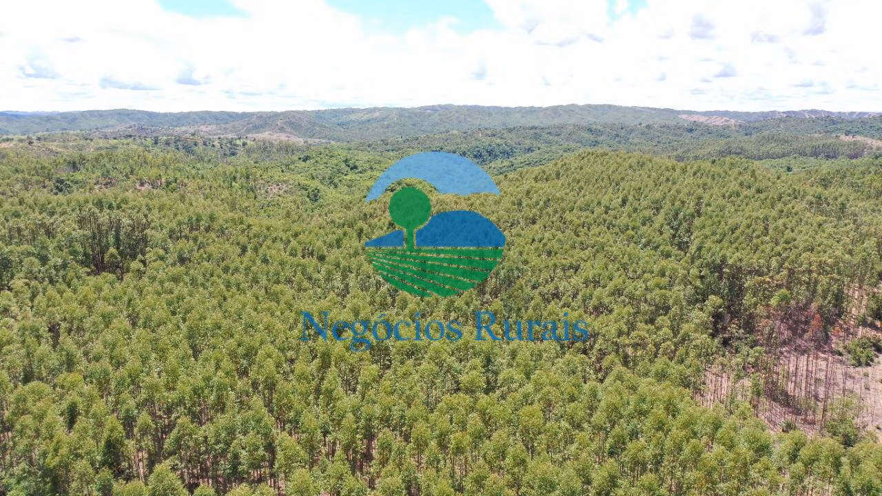 Fazenda de 145 ha em Padre Bernardo, GO