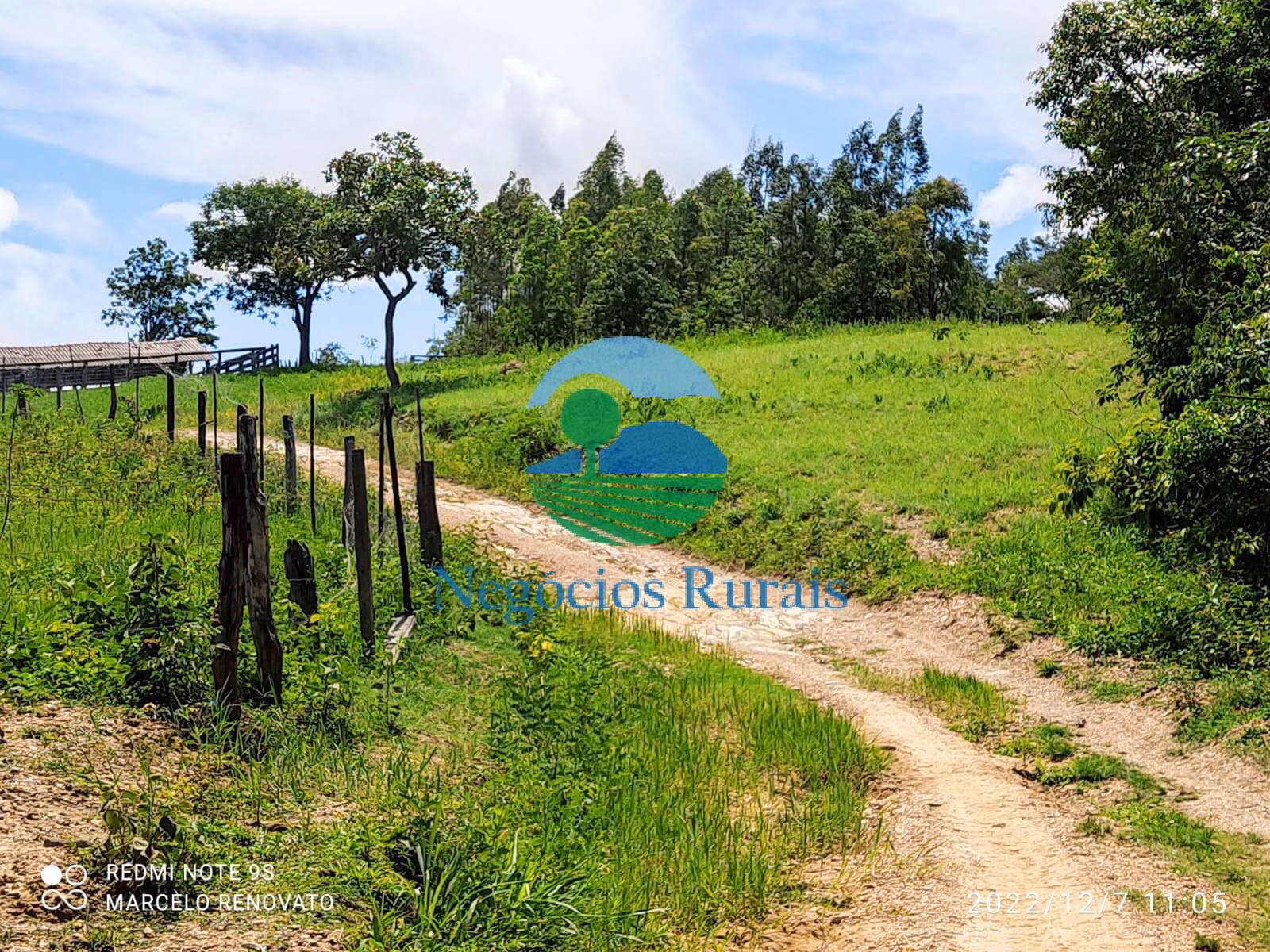 Fazenda de 145 ha em Padre Bernardo, GO