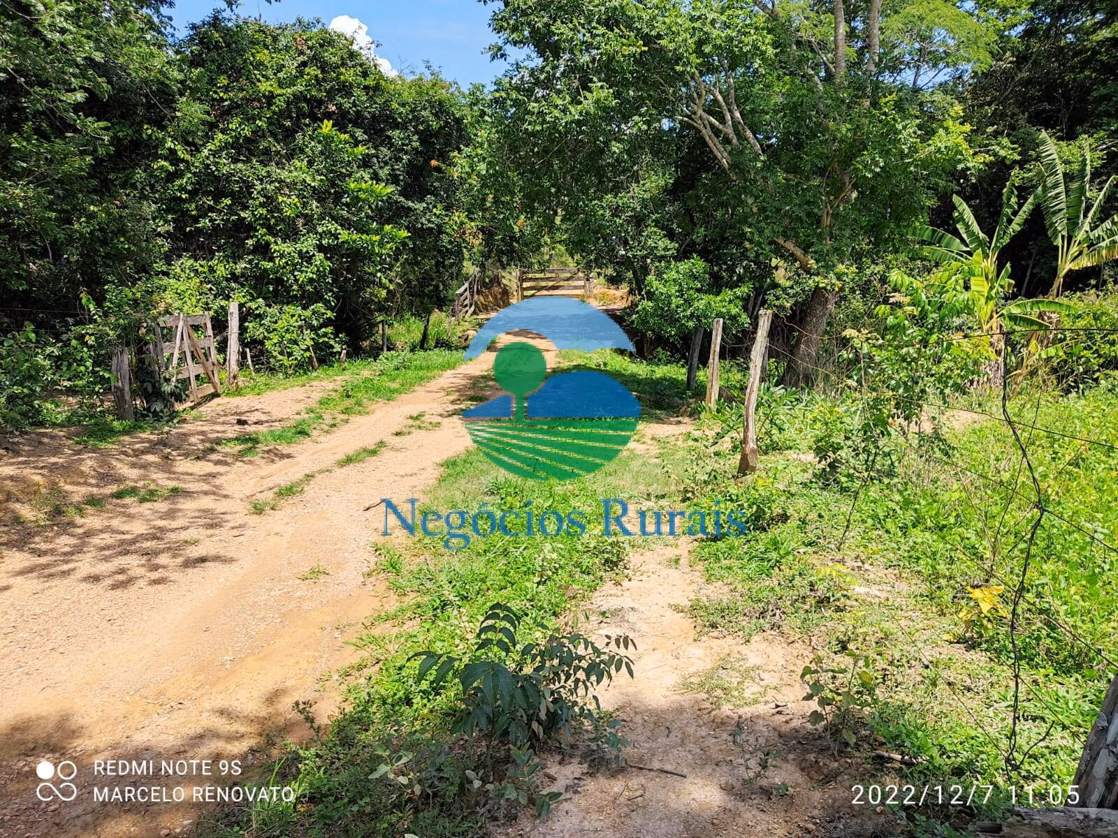 Fazenda de 145 ha em Padre Bernardo, GO
