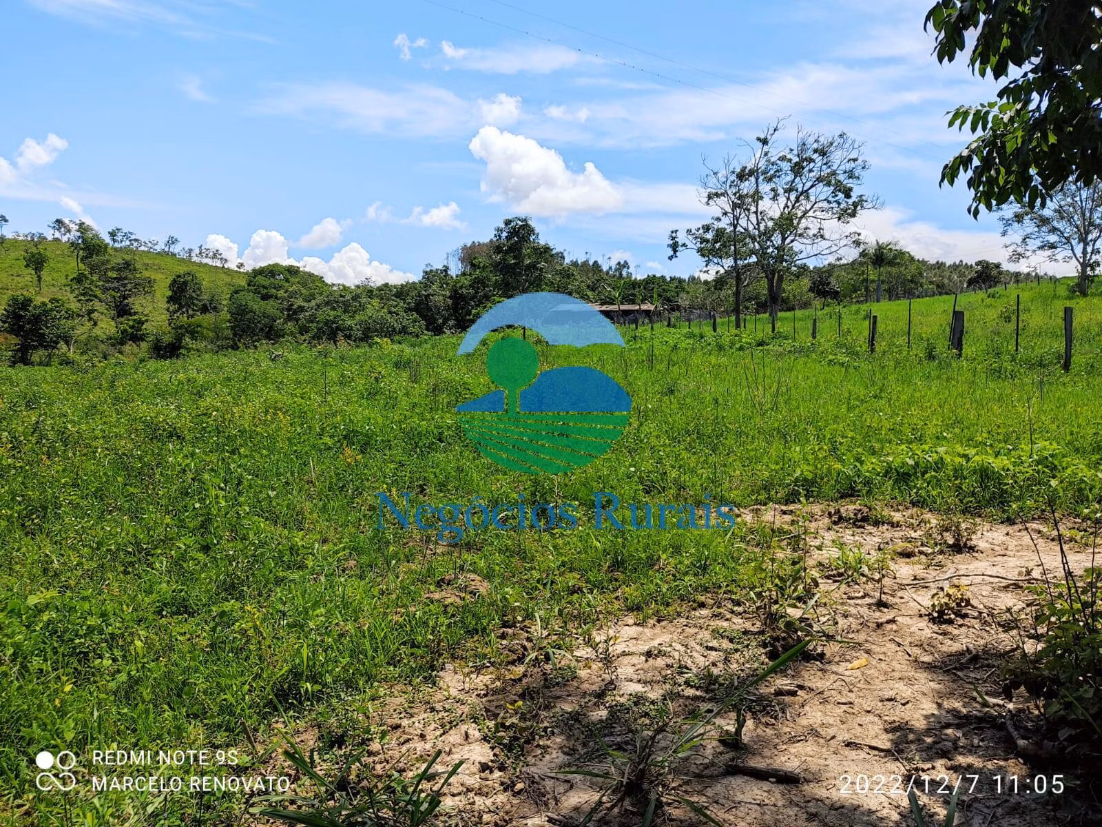 Fazenda de 145 ha em Padre Bernardo, GO