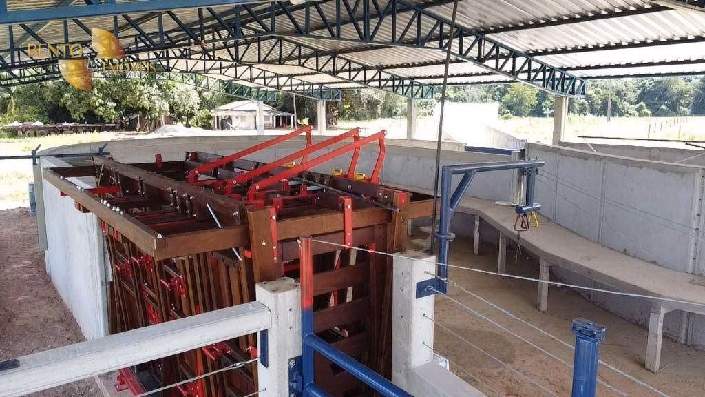 Farm of 22.598 acres in Goiatins, TO, Brazil