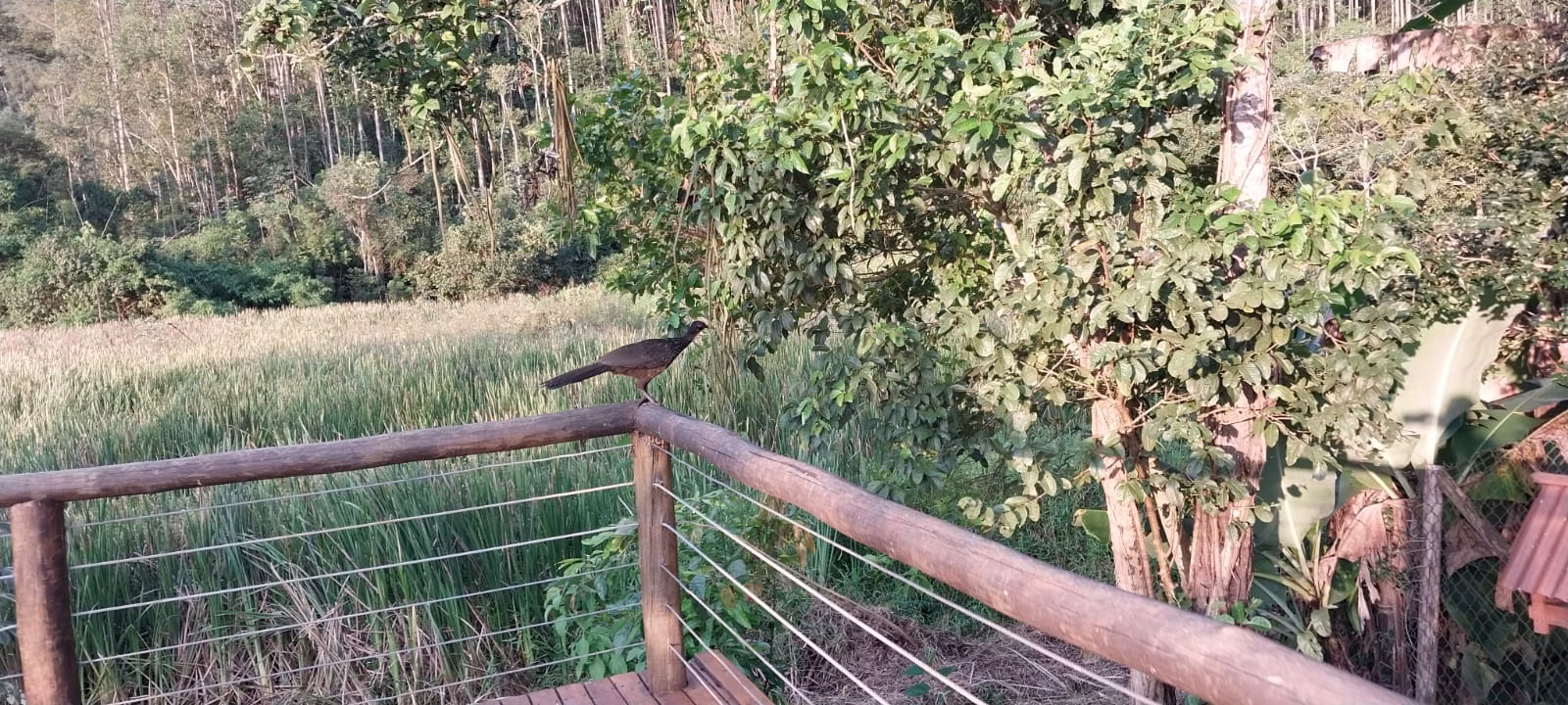 Chácara de 1.000 m² em Monteiro Lobato, SP