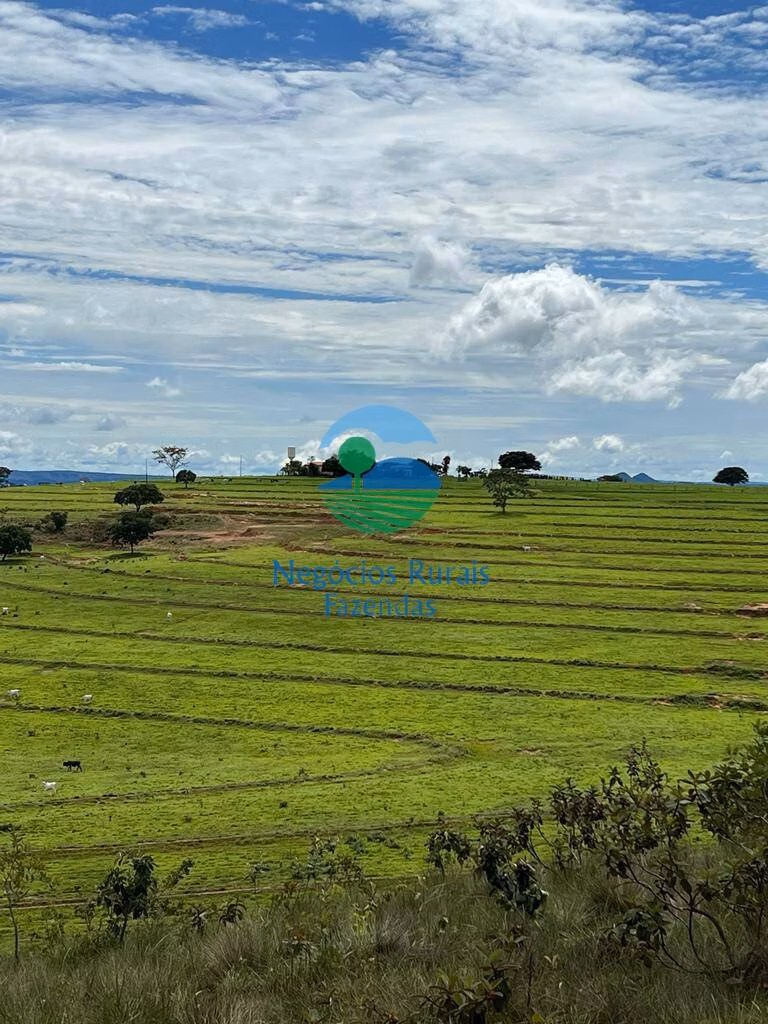 Fazenda de 542 ha em Caiapônia, GO