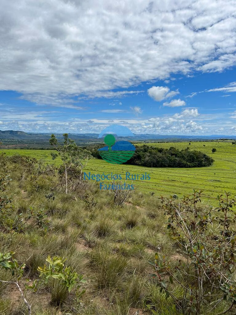 Fazenda de 542 ha em Caiapônia, GO