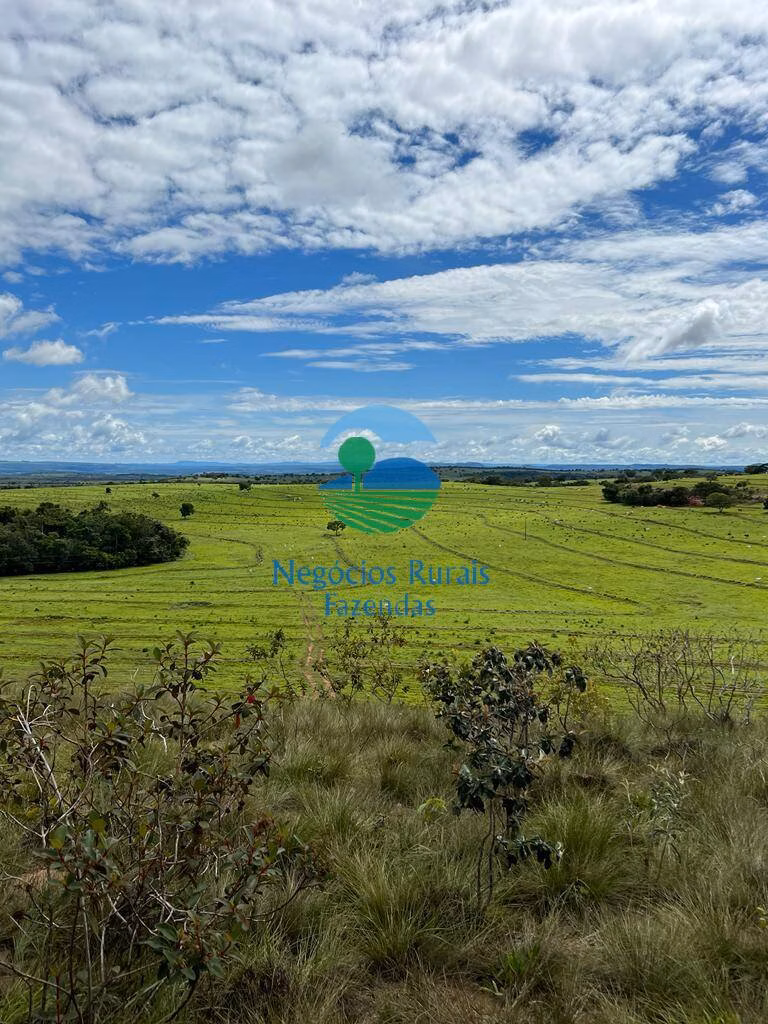 Fazenda de 542 ha em Caiapônia, GO