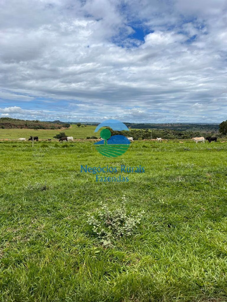 Fazenda de 542 ha em Caiapônia, GO