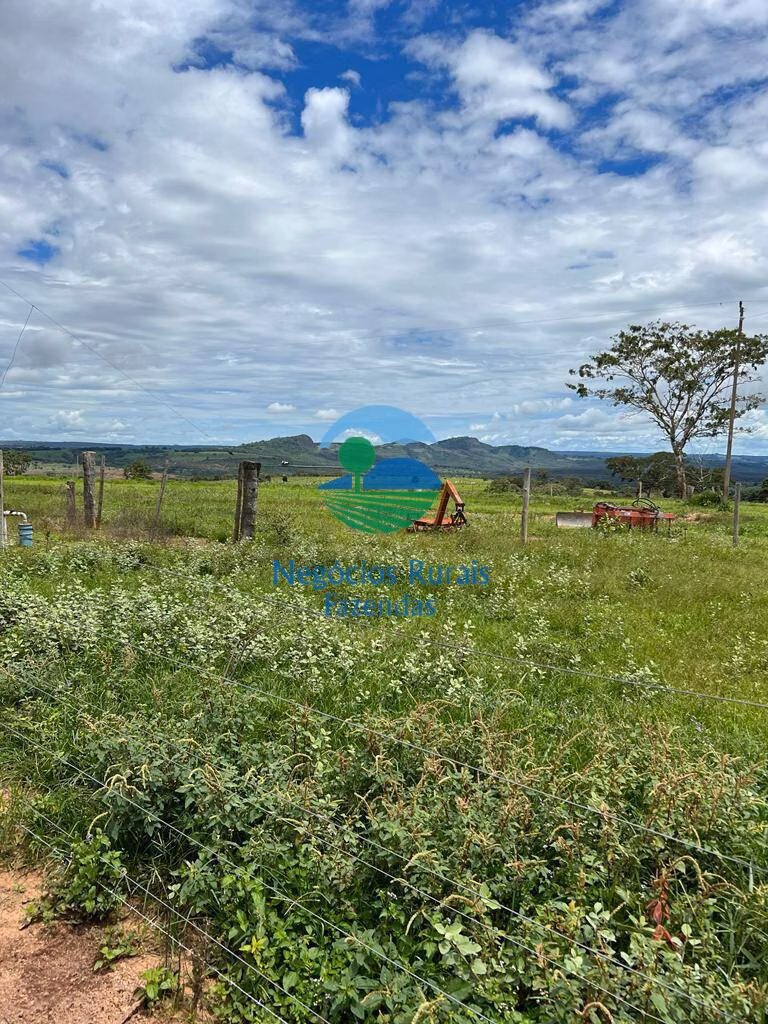 Fazenda de 542 ha em Caiapônia, GO