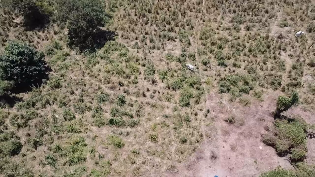 Fazenda de 348 ha em Ibotirama, BA