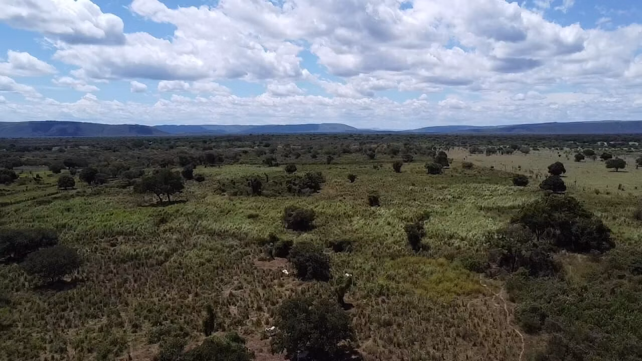 Fazenda de 348 ha em Ibotirama, BA
