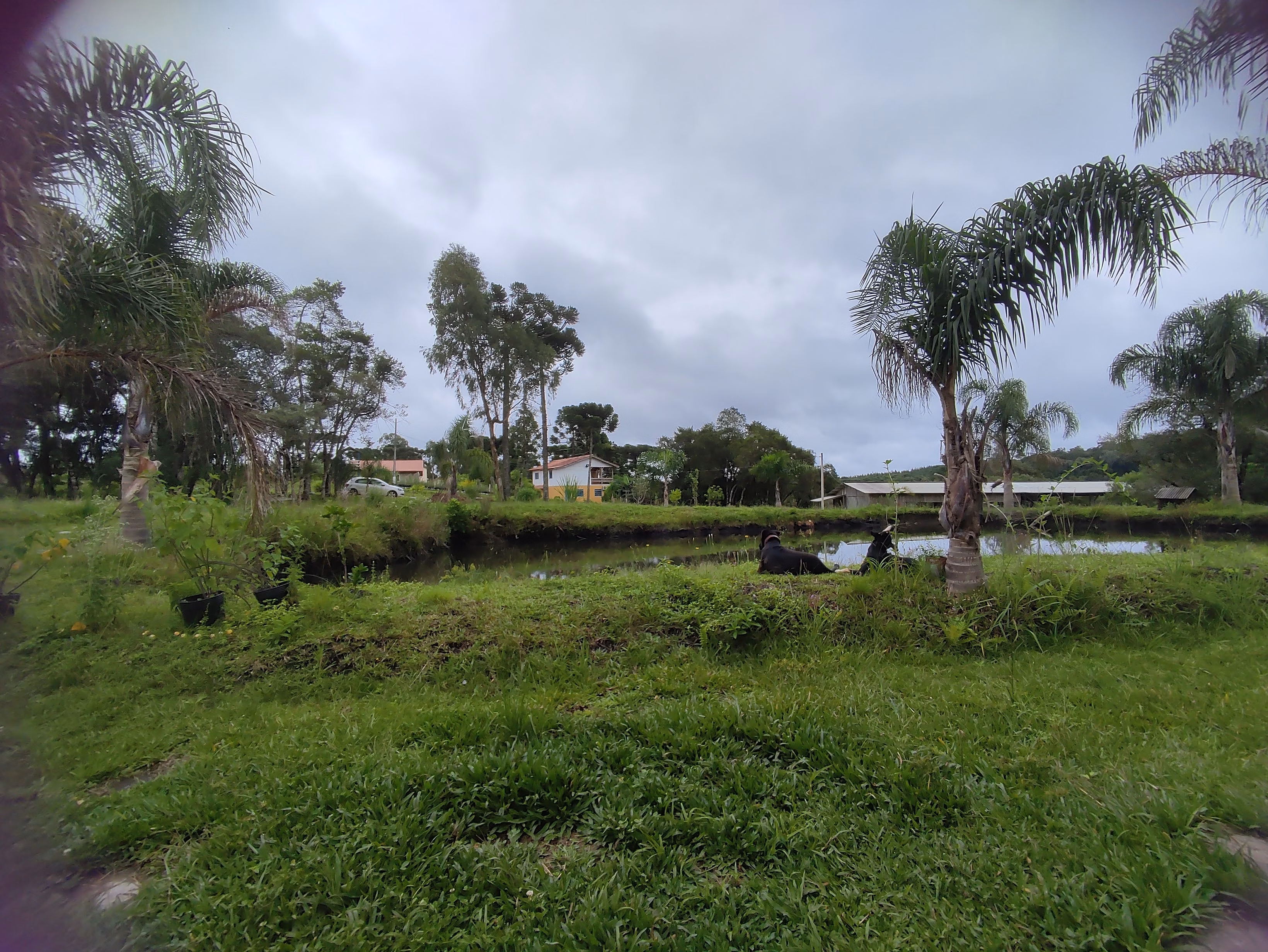Sítio de 3 ha em Tijucas do Sul, PR