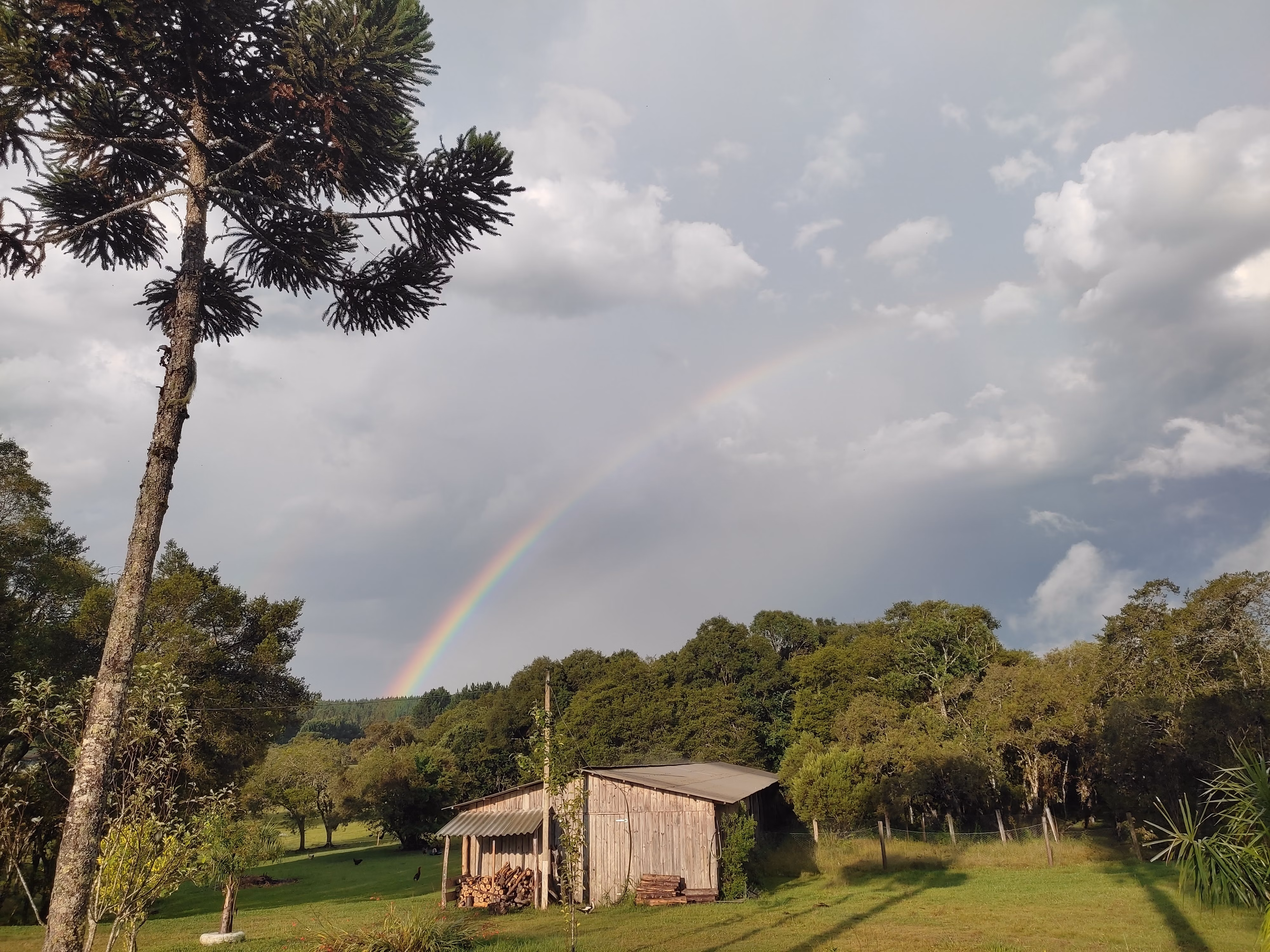 Sítio de 3 ha em Tijucas do Sul, PR