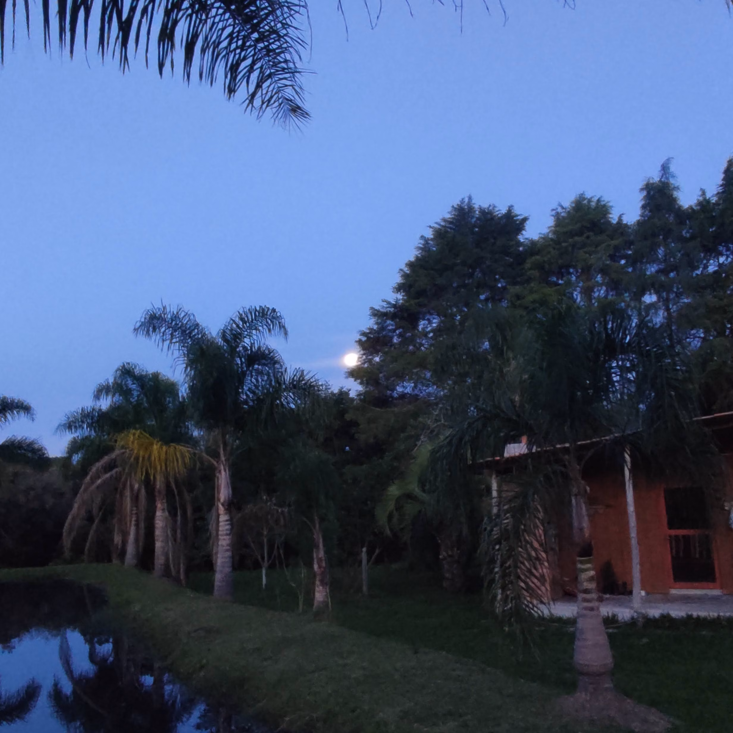 Sítio de 3 ha em Tijucas do Sul, PR
