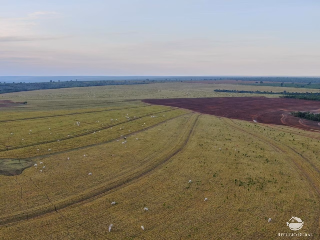 Fazenda de 1.500 ha em Nova Xavantina, MT