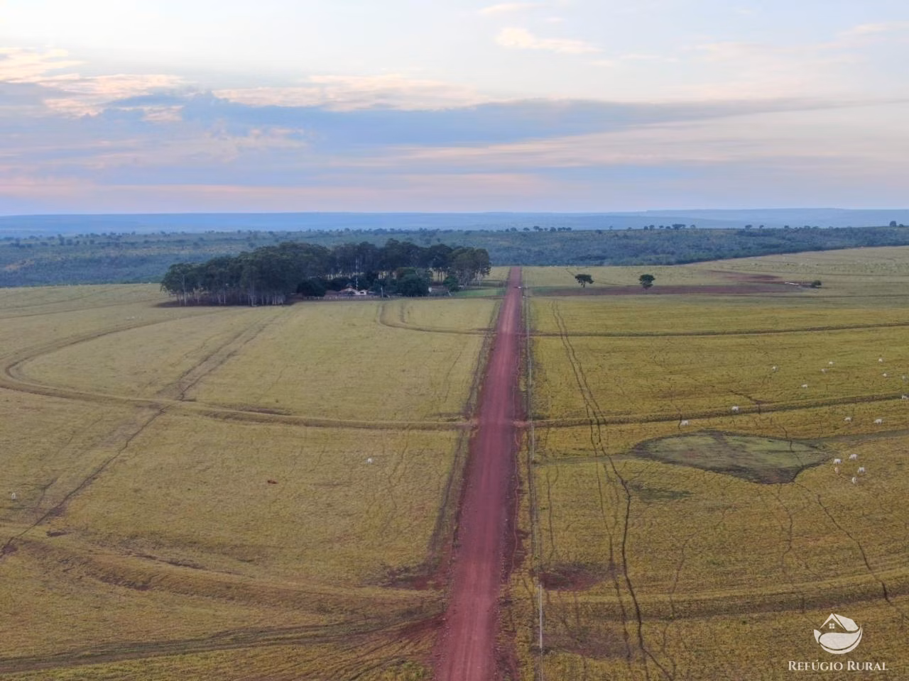 Fazenda de 1.500 ha em Nova Xavantina, MT