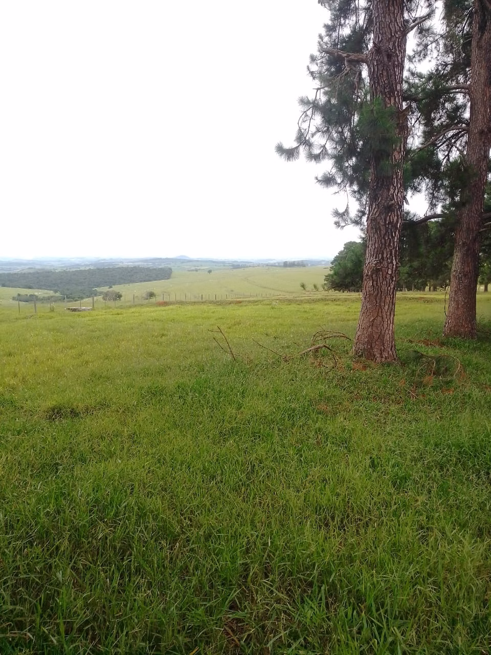 Fazenda de 290 ha em Riversul, SP