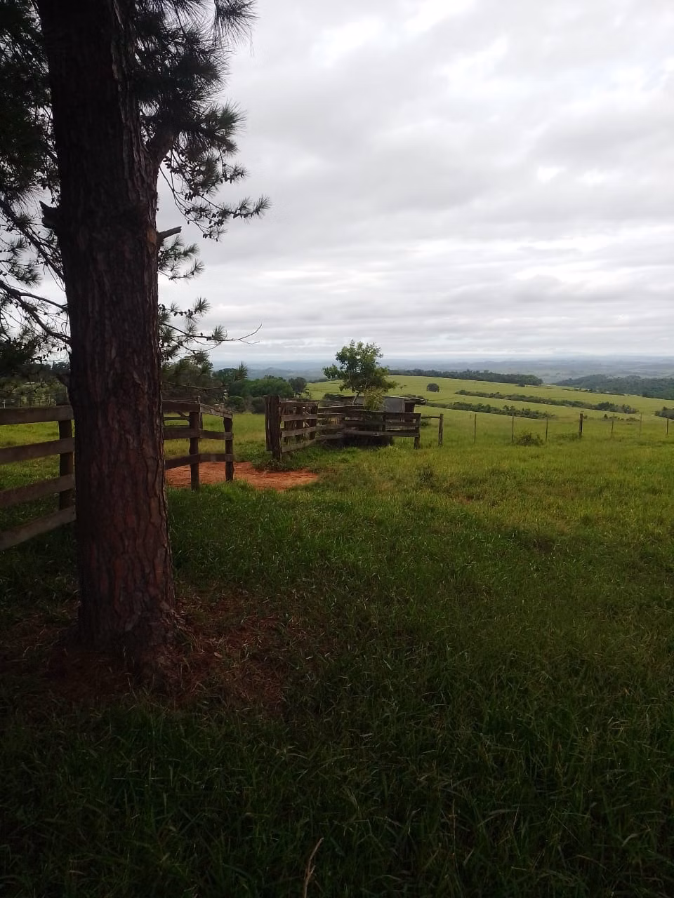 Fazenda de 290 ha em Riversul, SP