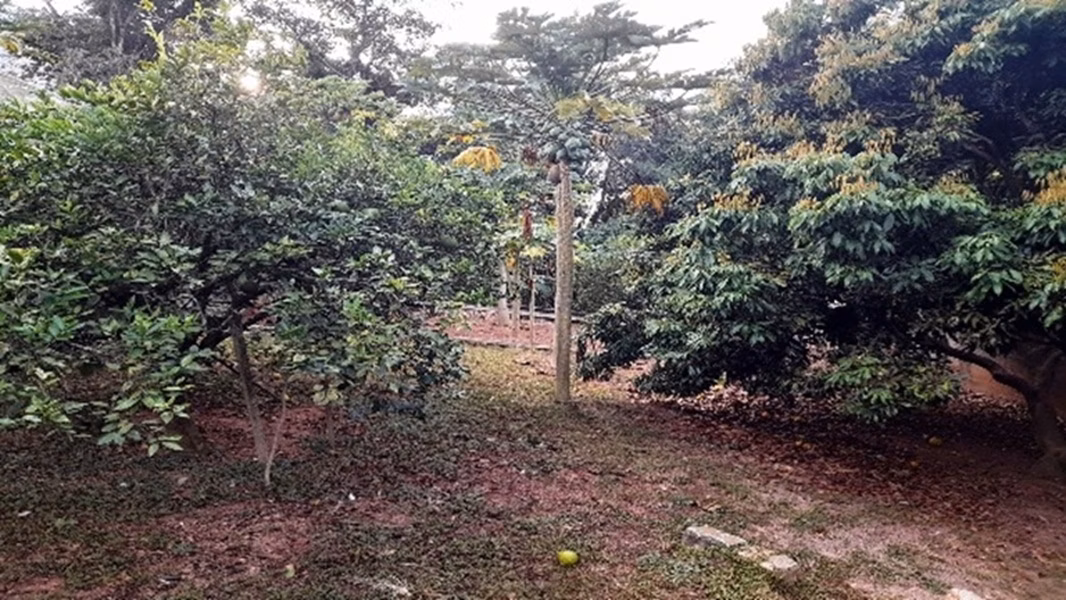 Country home of 4 acres in Jarinu, SP, Brazil