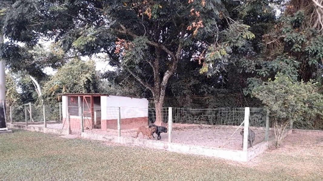Chácara de 2 ha em Jarinu, SP