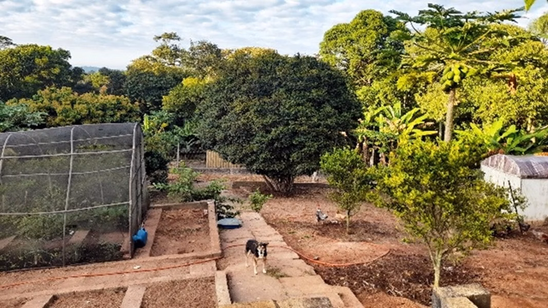Chácara de 2 ha em Jarinu, SP