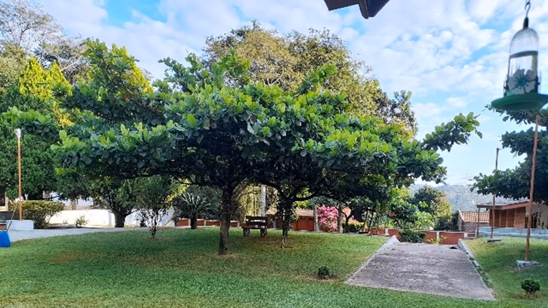 Chácara de 2 ha em Jarinu, SP