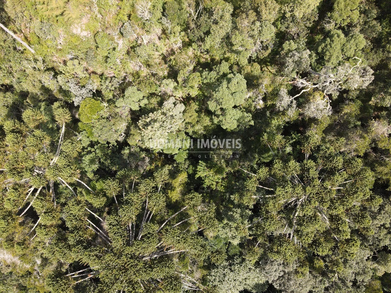 Terreno de 5.100 m² em Campos do Jordão, SP