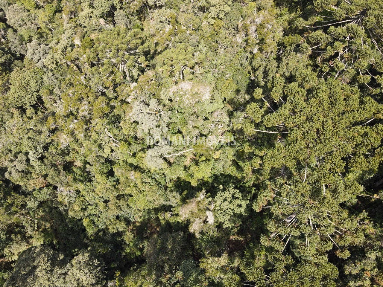 Terreno de 5,100 m² em Campos do Jordão, SP
