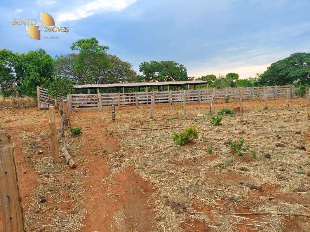 Fazenda de 985 ha em Paranatinga, MT