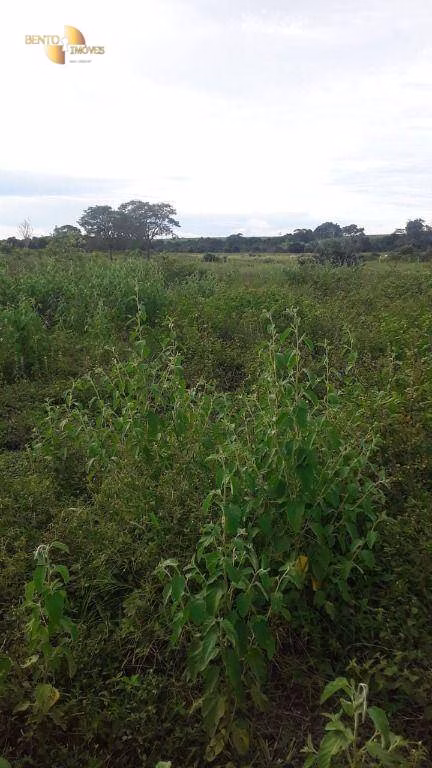 Fazenda de 985 ha em Paranatinga, MT