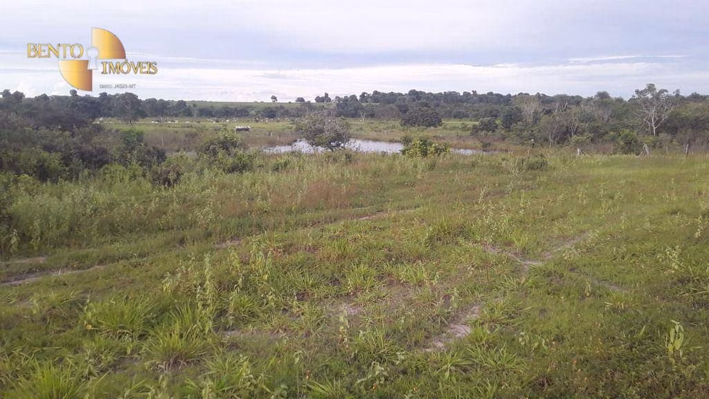 Fazenda de 985 ha em Paranatinga, MT