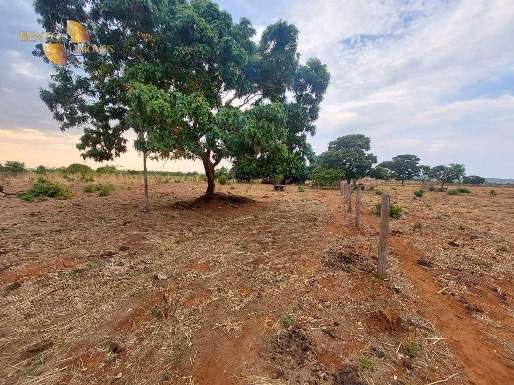 Fazenda de 985 ha em Paranatinga, MT