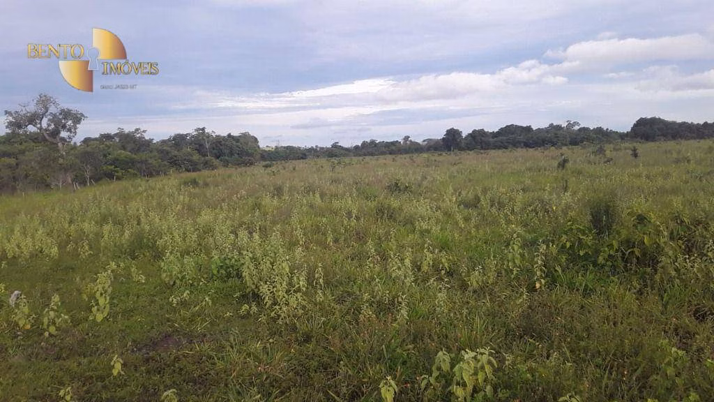 Fazenda de 985 ha em Paranatinga, MT