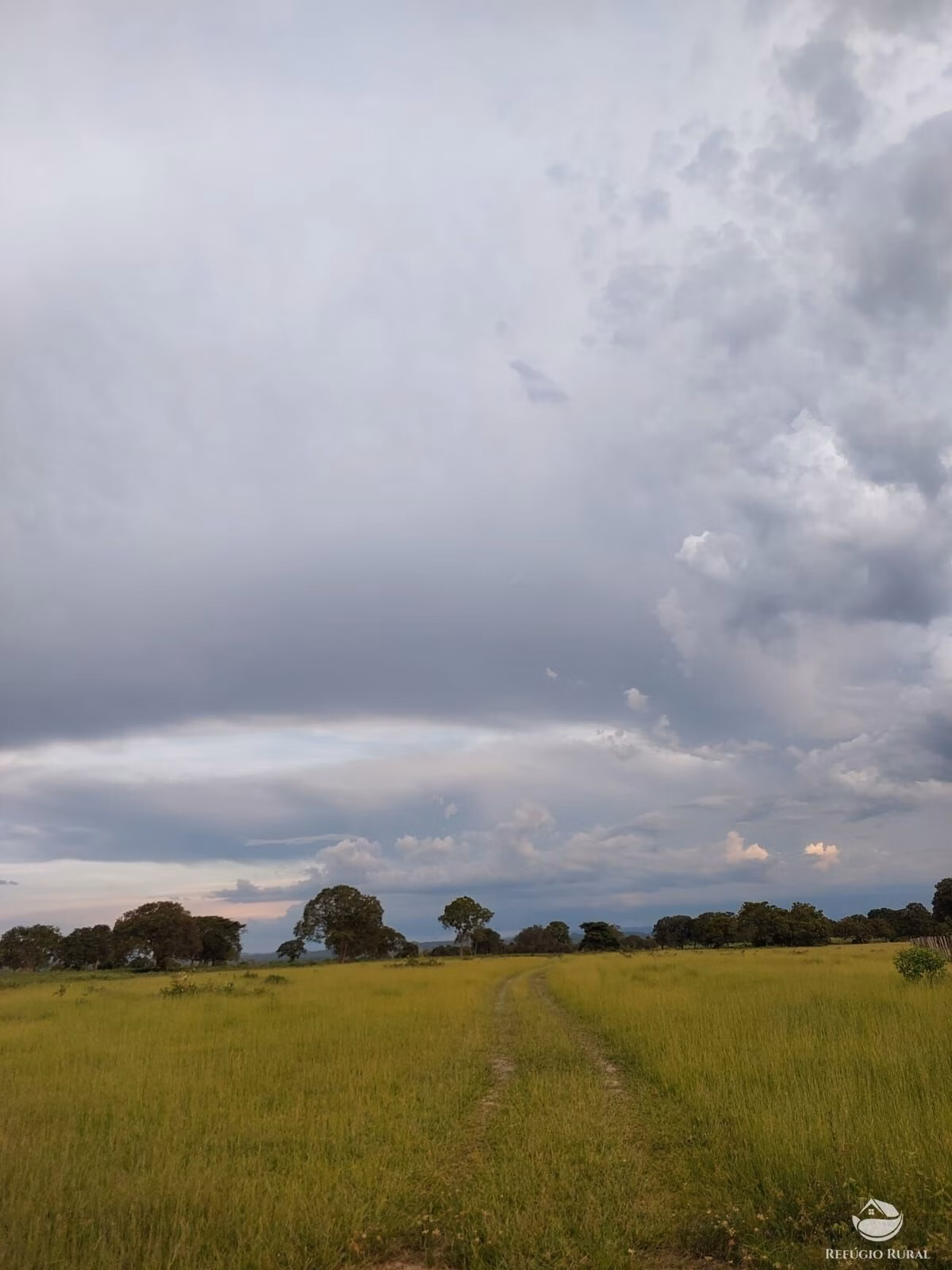 Fazenda de 4.840 ha em Sandolândia, TO