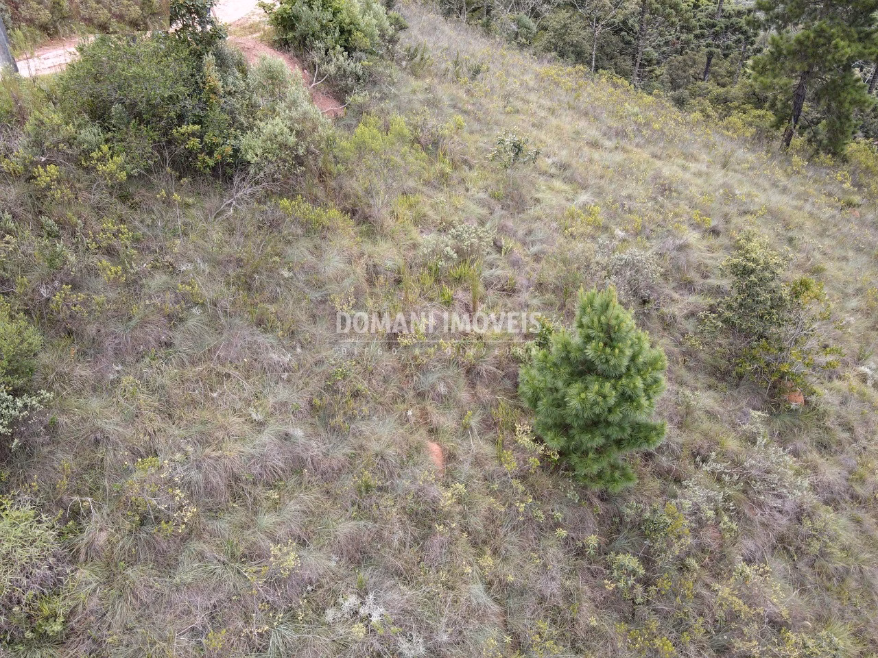 Terreno de 1.980 m² em Campos do Jordão, SP