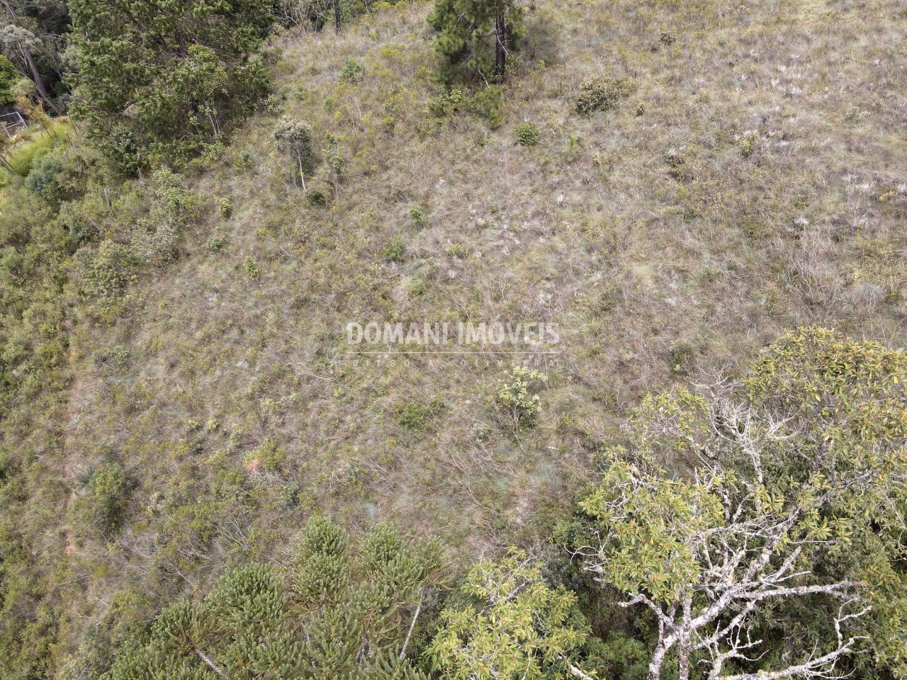 Terreno de 1.980 m² em Campos do Jordão, SP
