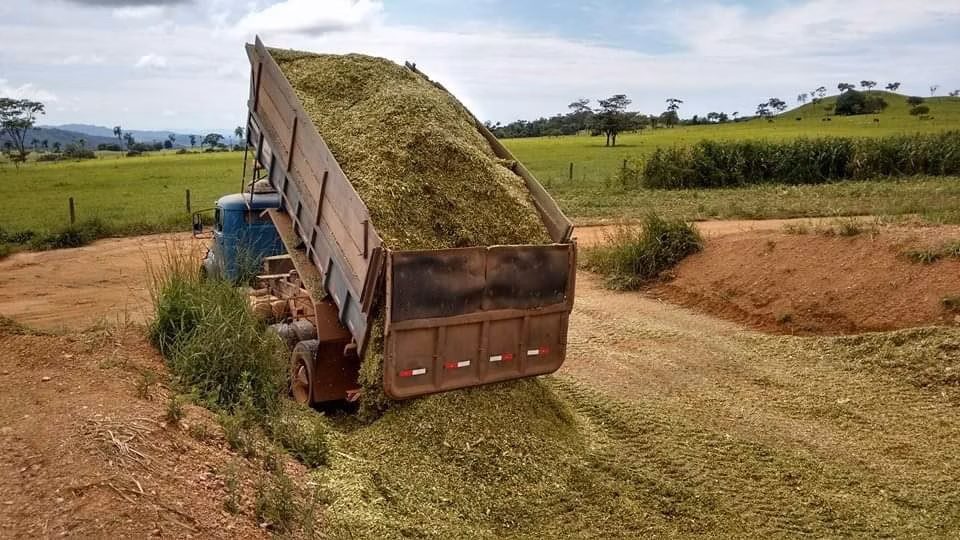 Fazenda de 2.154 ha em Itapaci, GO