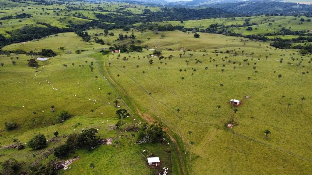 Fazenda de 2.154 ha em Itapaci, GO
