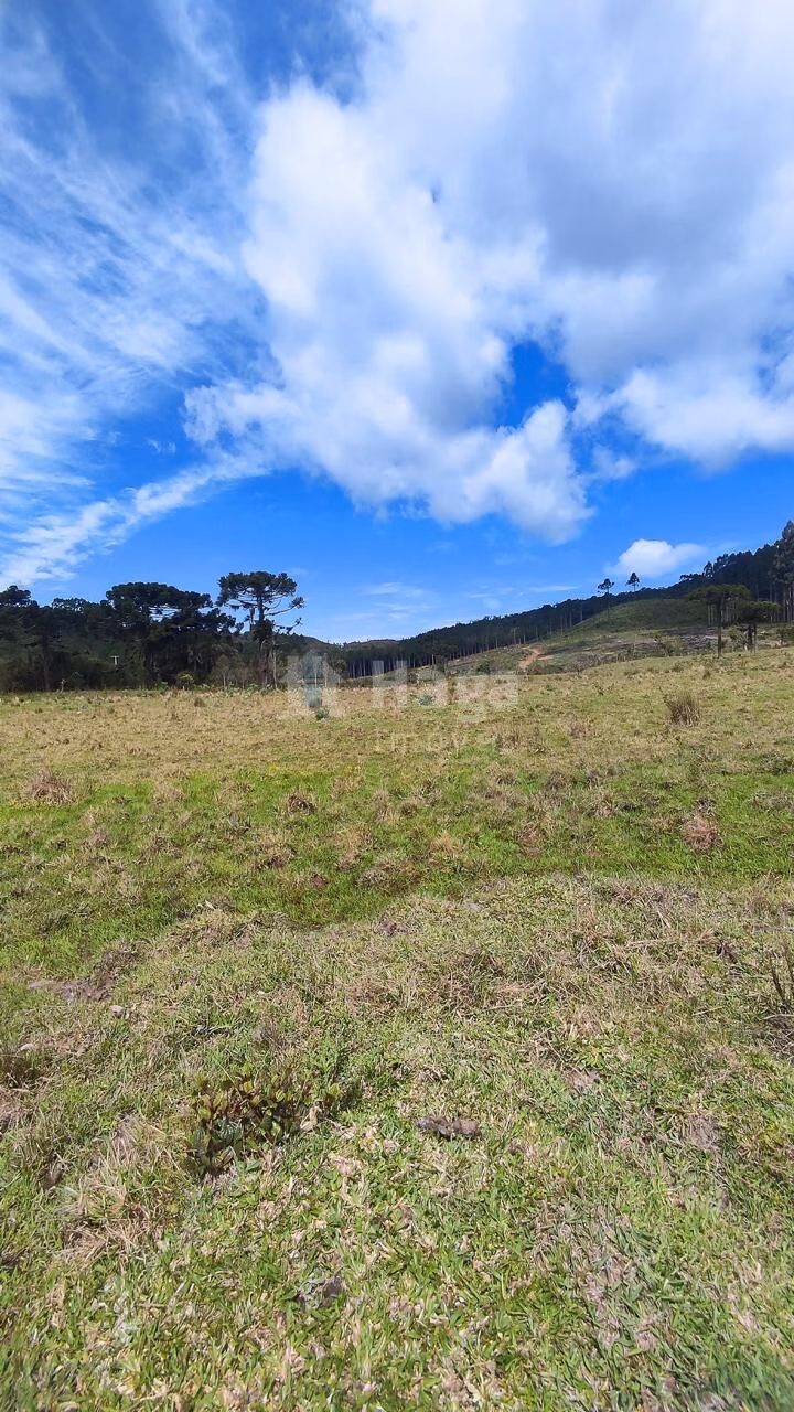 Fazenda de 75 ha em Major Gercino, SC