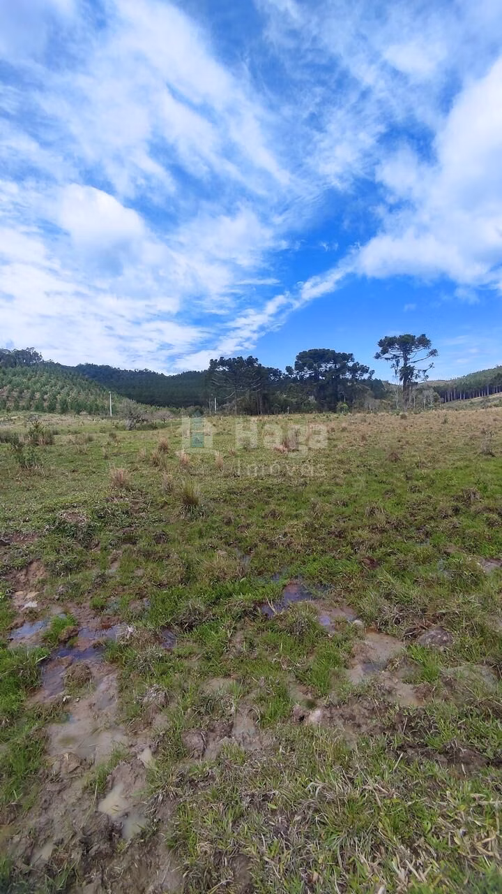 Fazenda de 75 ha em Major Gercino, SC