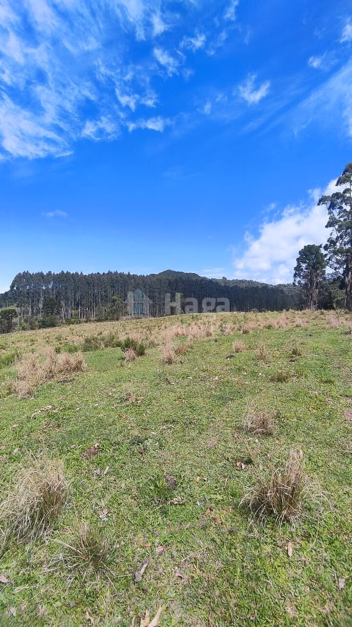 Fazenda de 75 ha em Major Gercino, SC