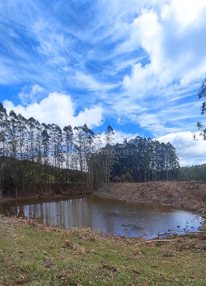 Fazenda de 75 ha em Major Gercino, SC